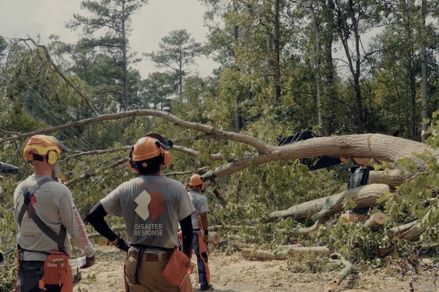 Team Rubicon sawyers clearing a fallen tree.