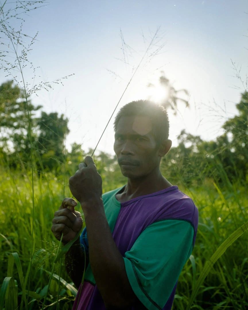 A man in the tall grass against the sun, on medium-format film.