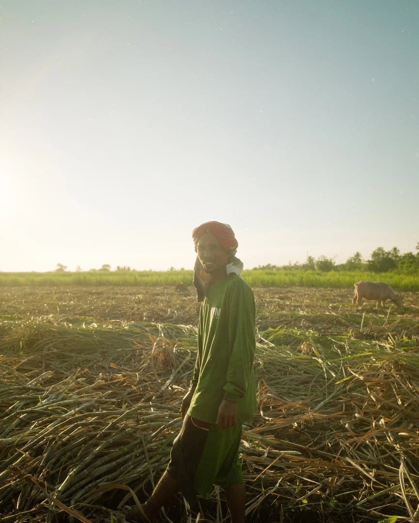 A farmer standing in a cut cane field at dusk, on film.