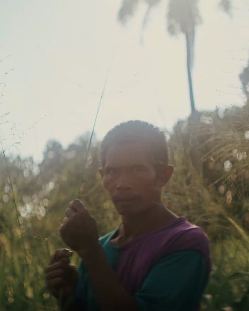 A man backlit in the grass.