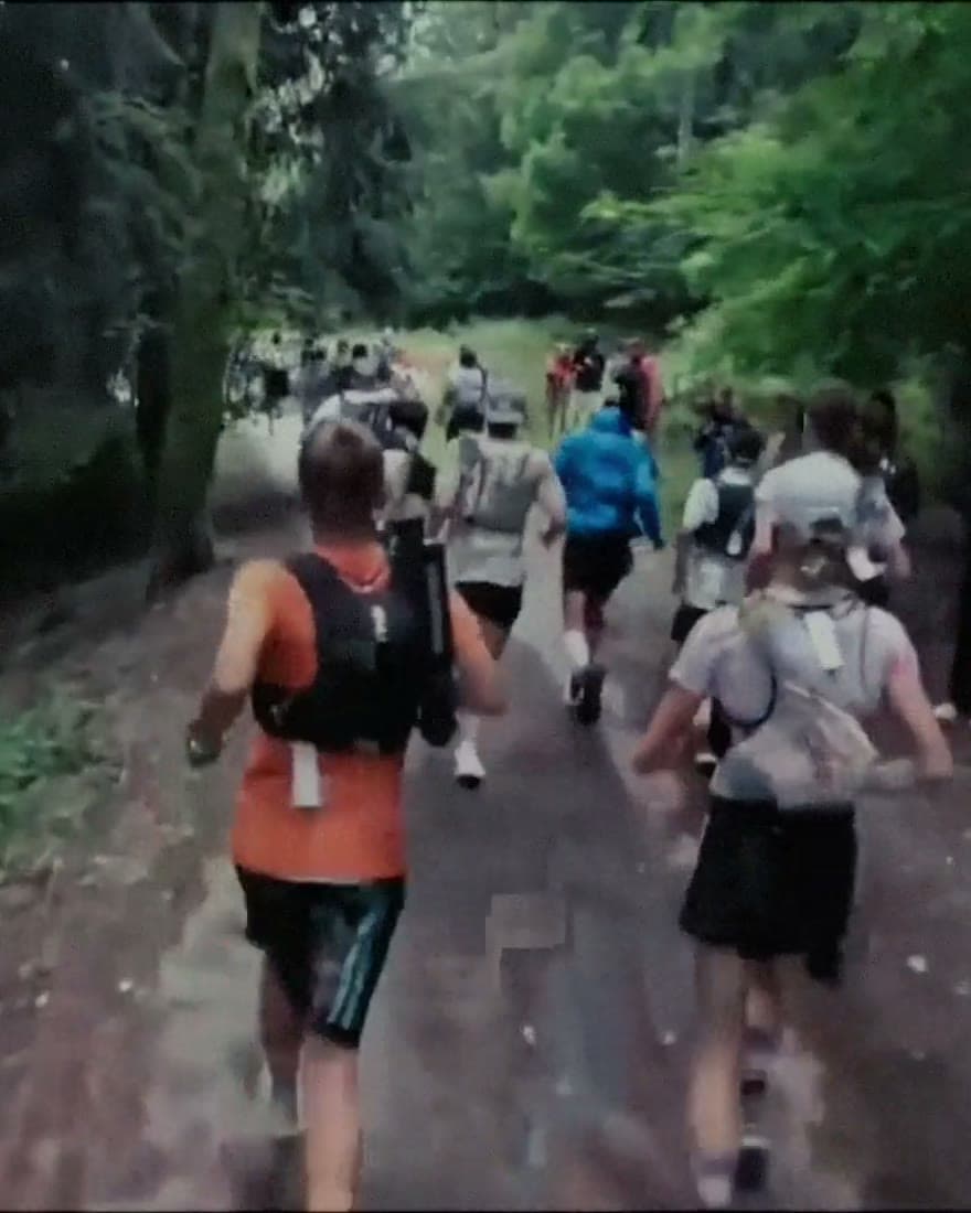 A pack of runners grinding up a forest climb.