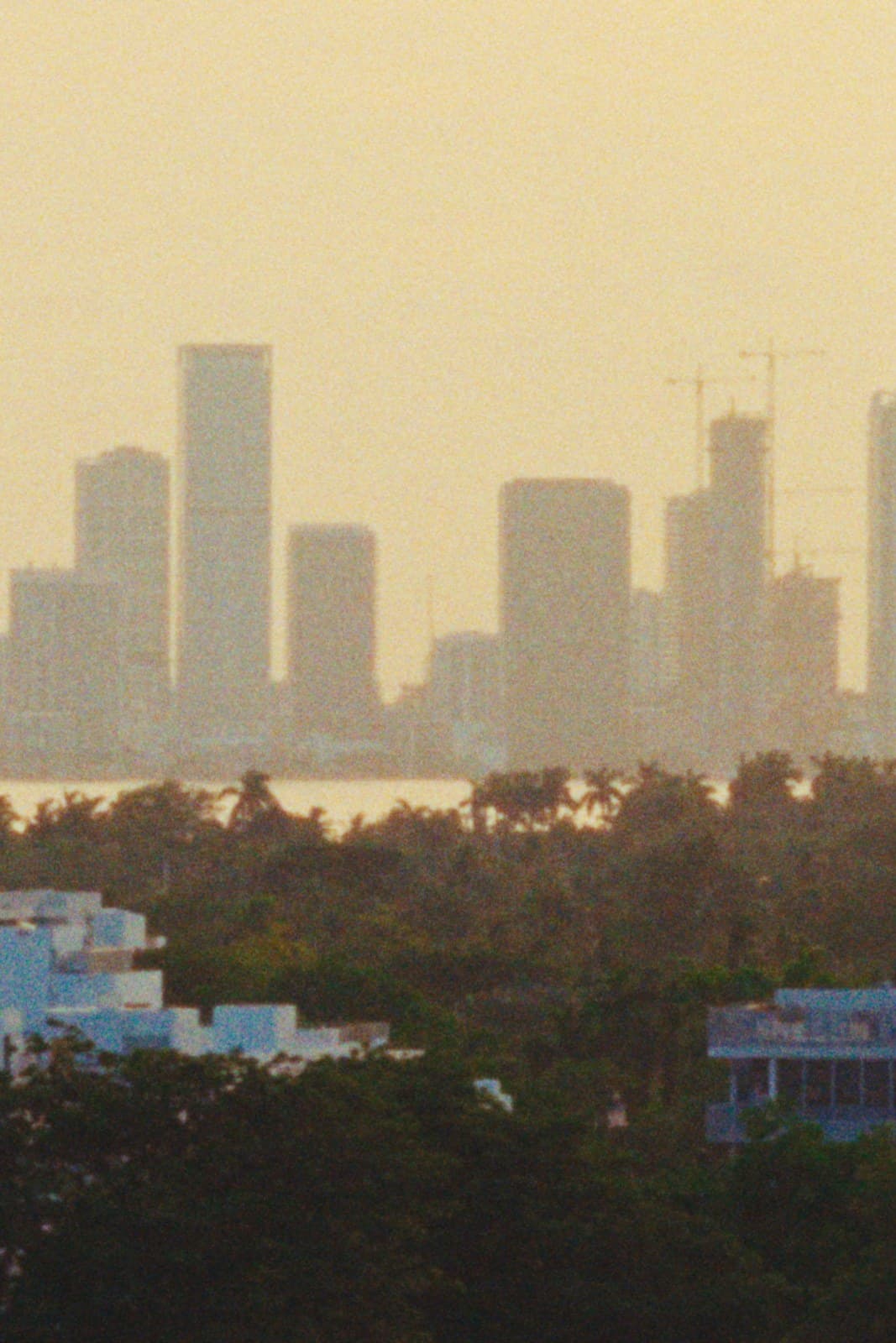 The Miami skyline in a warm haze.