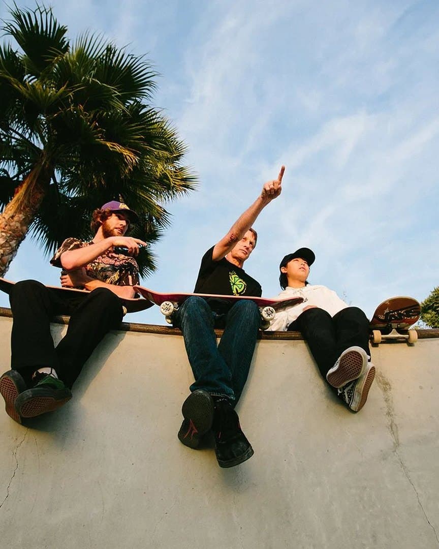Three skaters sitting on the lip of a bowl under the palms.