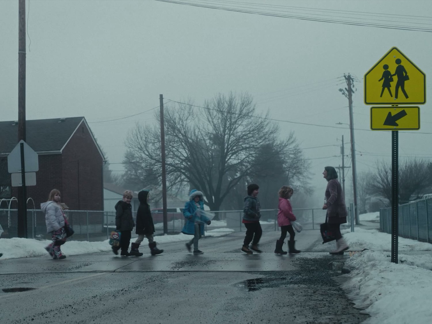 What We Show Them — photograph 7